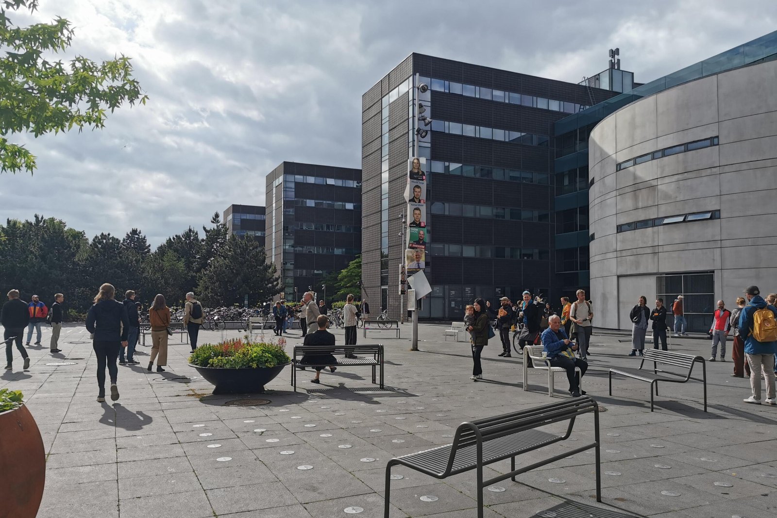 EN SKOG AV LYD (2024)