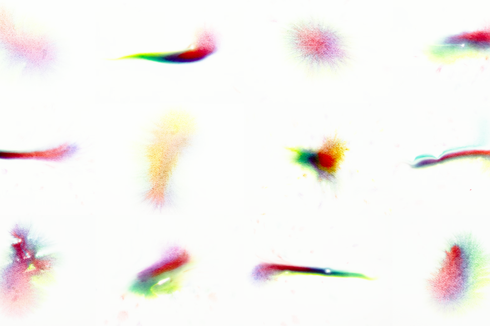 EN SKOG AV LYD (2025)