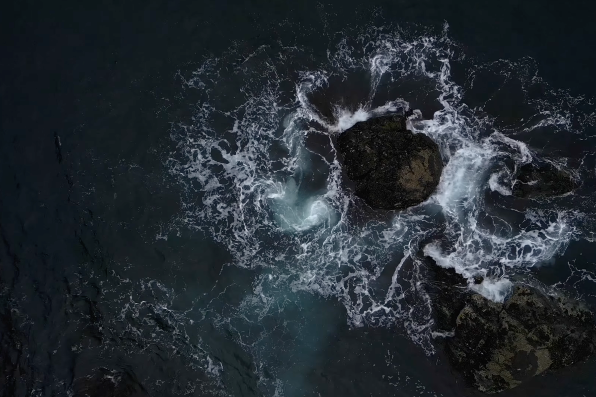 DRAUGEN PROLOGUE (2025)