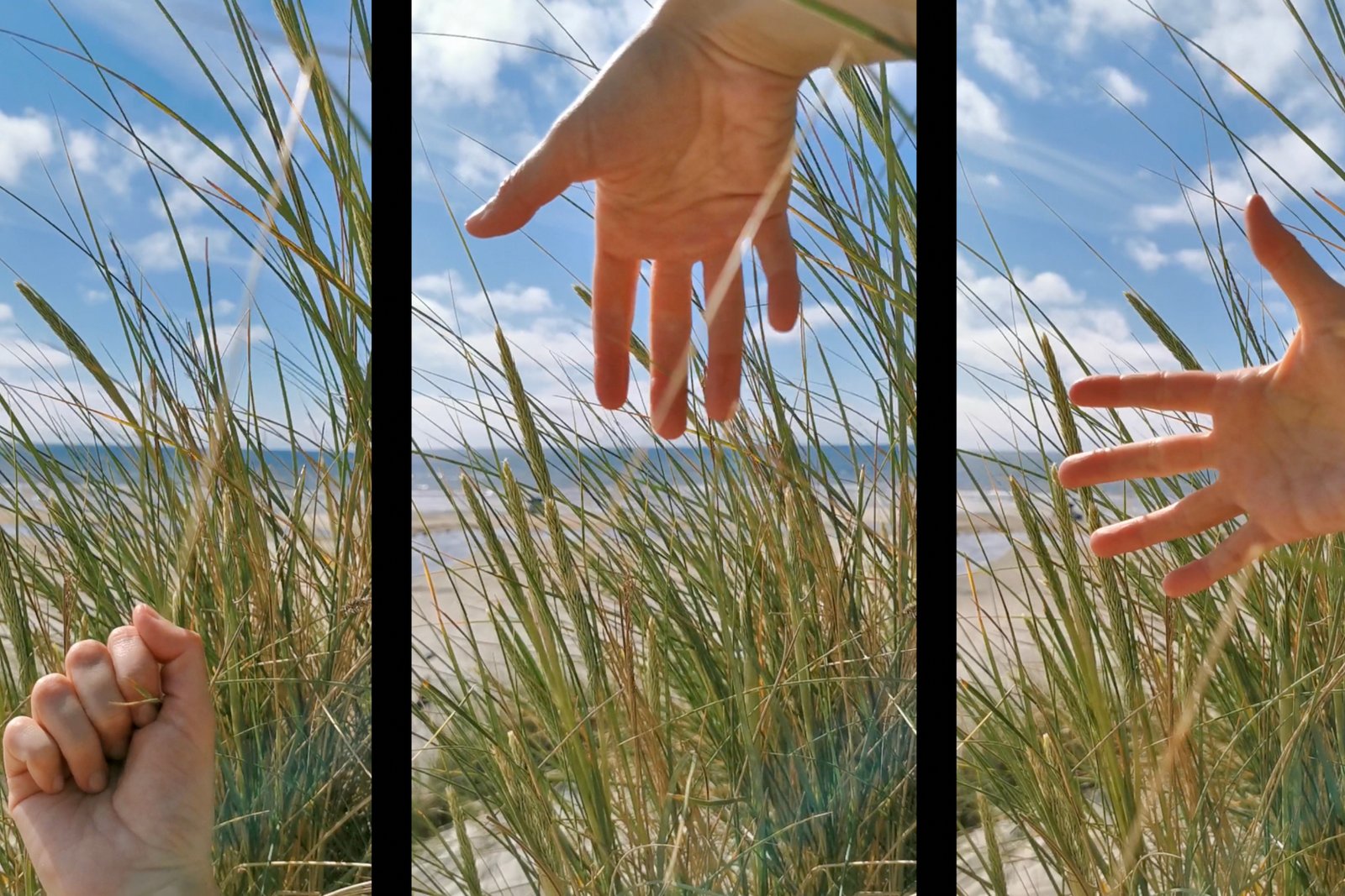 SOUND CHOREOGRAPHY STUDY NO. 2 (2023)