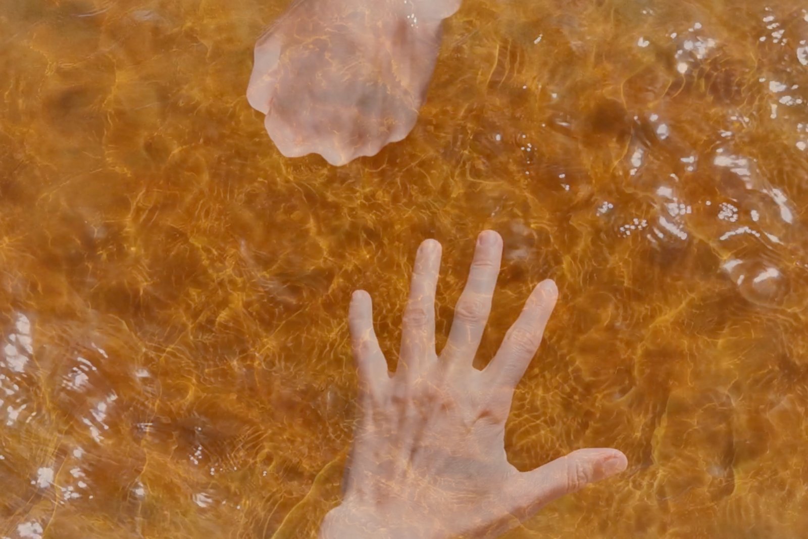 SOUND CHOREOGRAPHY STUDY NO. 1 (2022)