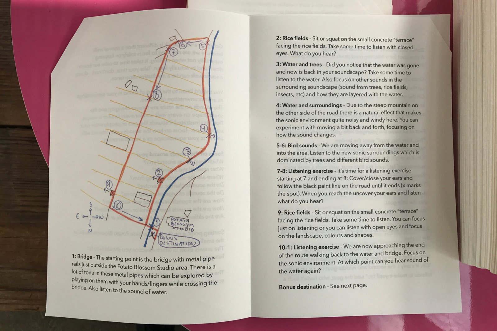 SOUNDWALK POTATO BLOSSOM STUDIO (2017)