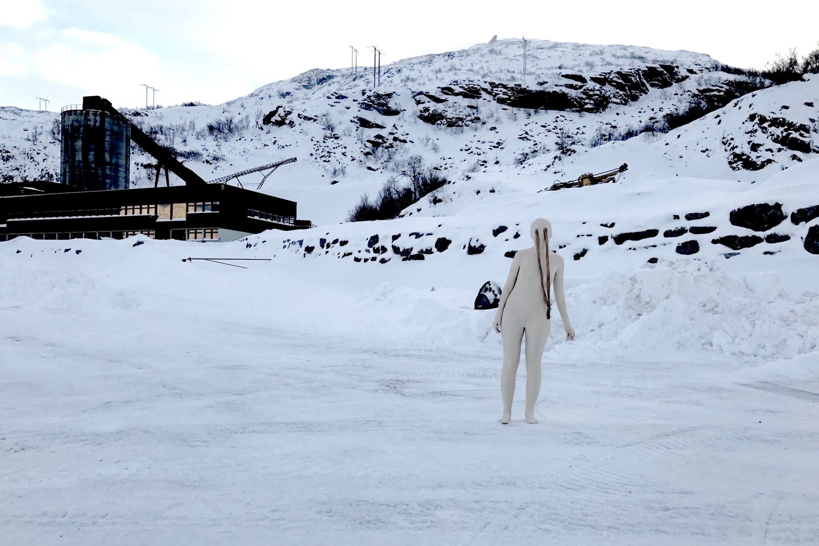 ARCTIC CREATURES: REPPARFJORD (2019)