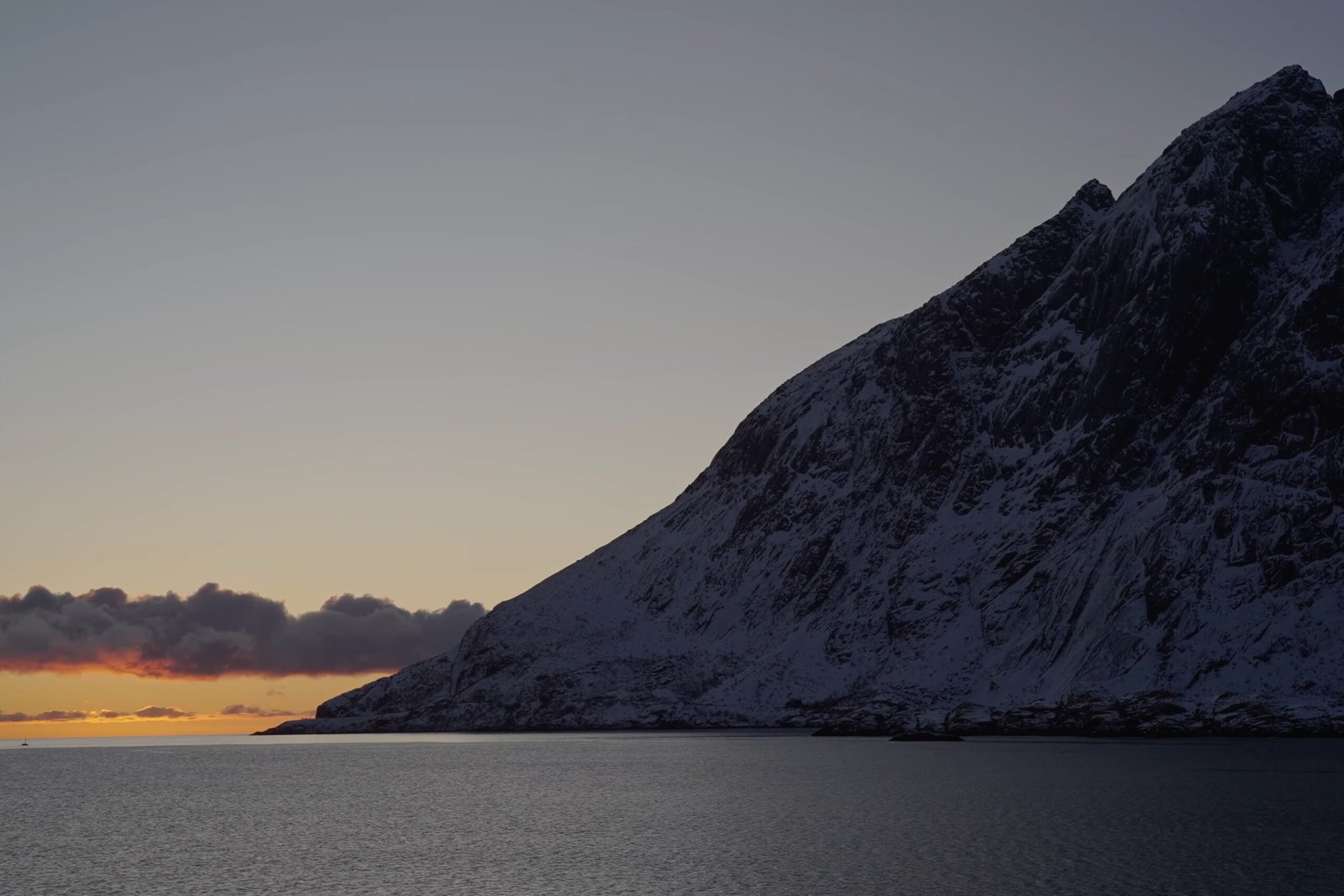 DEAR HUMANITY (2025)