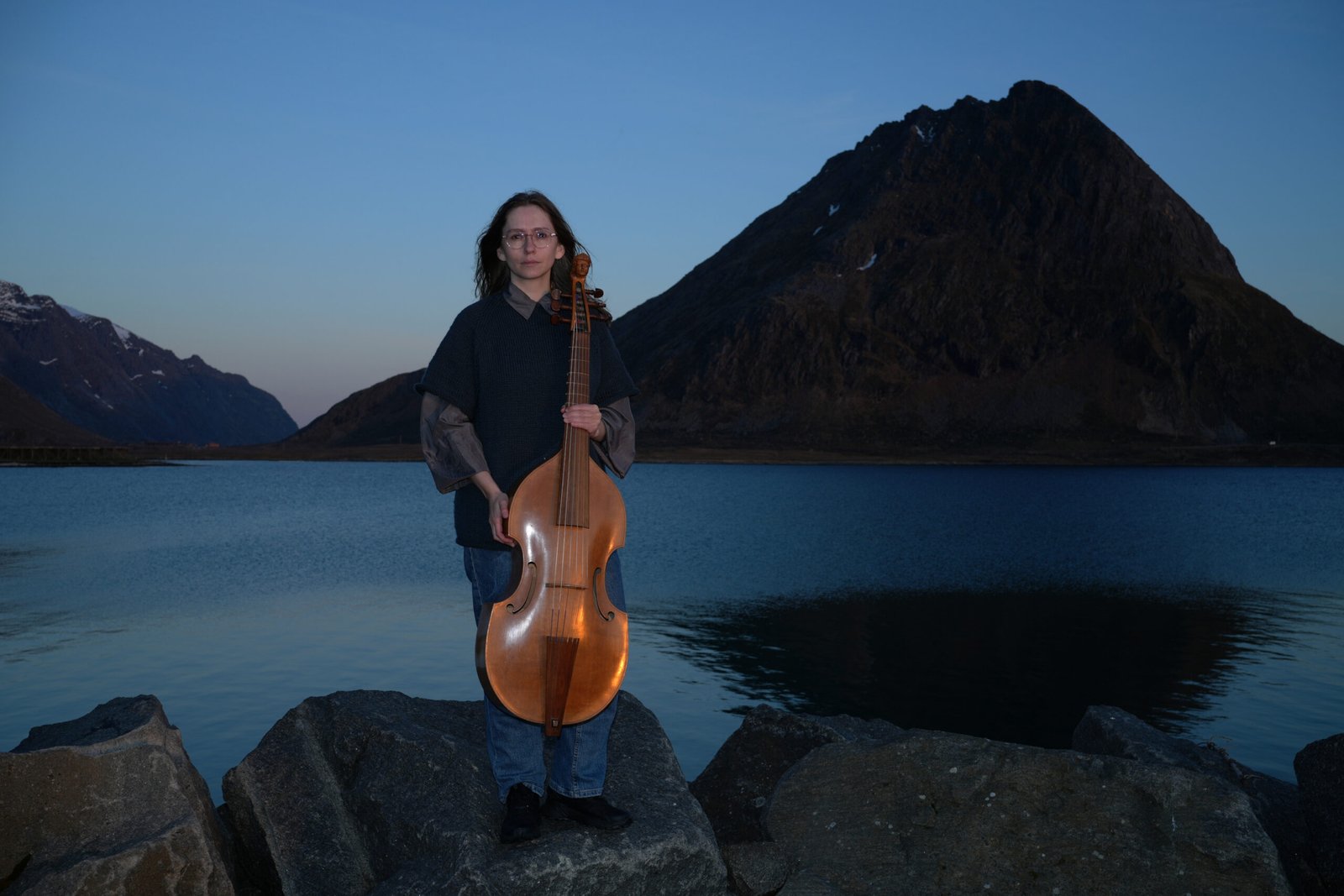 Viola da gamba